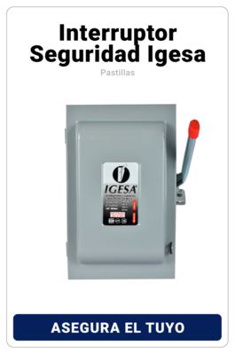 Interruptor Seguridad Igesa