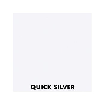 Pintura Acrílica Dirt Fighter Pastel Quick Silver SW6245.F