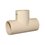 Tee CPVC 19 mm