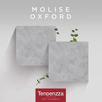 Piso Porcelanico 60 x 60 cm Oxford Molise Mate 1.44 m2