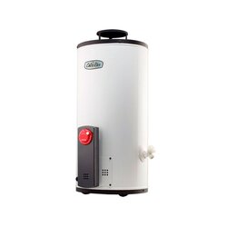 Calentador Depósito Tradicional 38 lts Gas LP