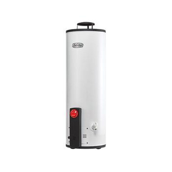 Calentador de Depósito Calorex Gas Natural 62 Lt